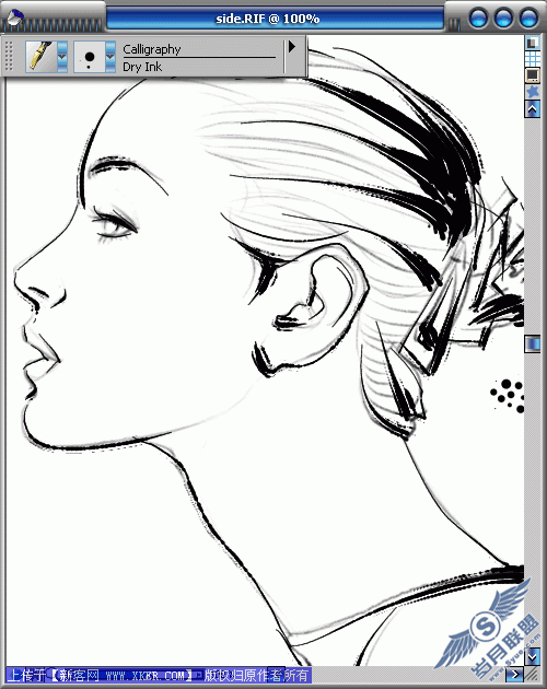 Wacom<a href=http://www.syue.com/Digital/ target=_blank class=infotextkey>数码</a>板加Painter手绘写意秀美头像_天极设计在线转载