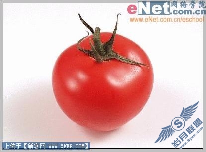 PSIR打造小仙女魔法之水果变变变