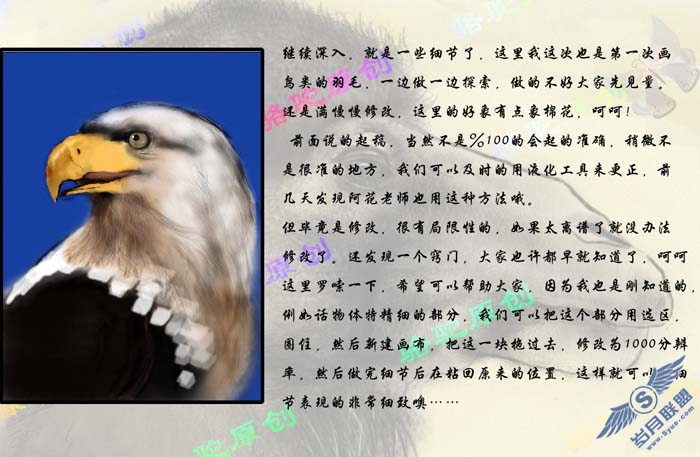 PhotoShop鼠绘一只彩色羽毛的鹰