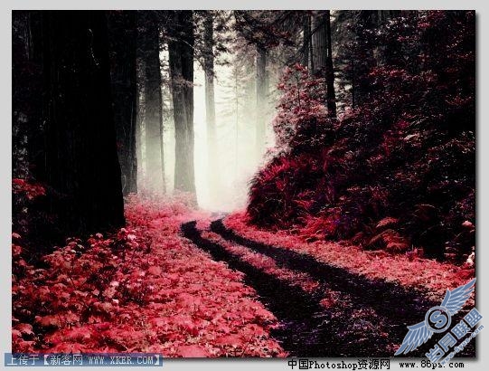 Photoshop打造暗红森林梦幻风景效果