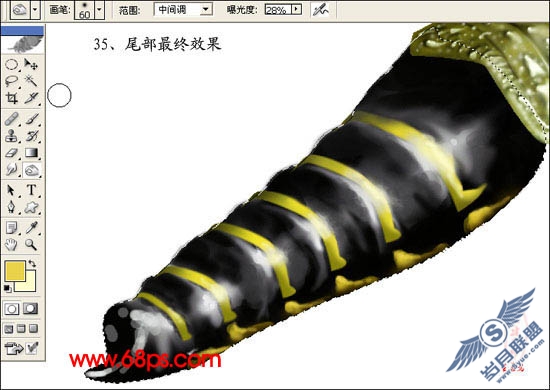 PhotoShop鼠绘超真实的蝗虫