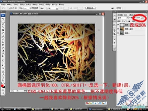 Photoshop调色教程:在那油菜丰收的时节