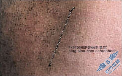 Photoshop合成教程:制作人脸标签【图】_