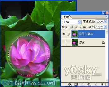 Photoshop泡泡效果