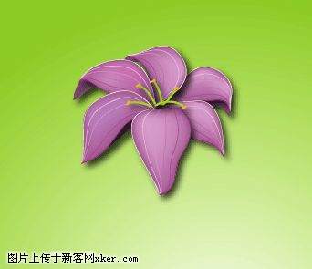 图12 Illustrator绘制百合花