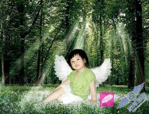 Photoshop照片处理:合成梦幻森林小天使儿童照【图】_