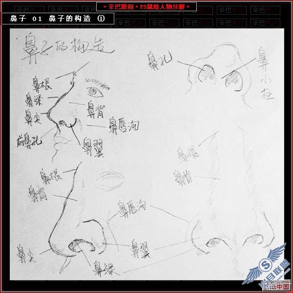 Photoshop鼠绘人物分解教程——鼻子篇【图】_