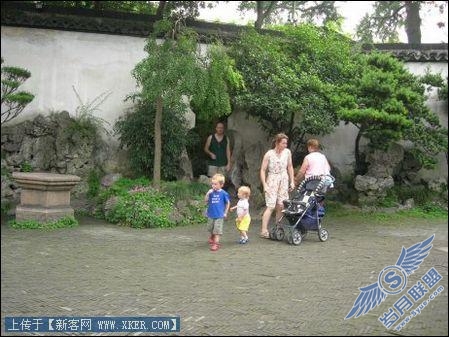免费的专业的人脑图片处理网站