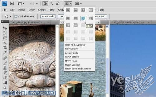 各选所需 快速掌握Photoshop CS4
