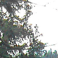 如何移除<a href=http://www.syue.com/Digital/ target=_blank class=infotextkey>数码</a>照片的紫边