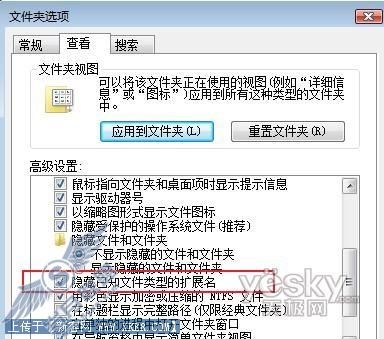 Vista操作系统中文件扩展名如何显示2