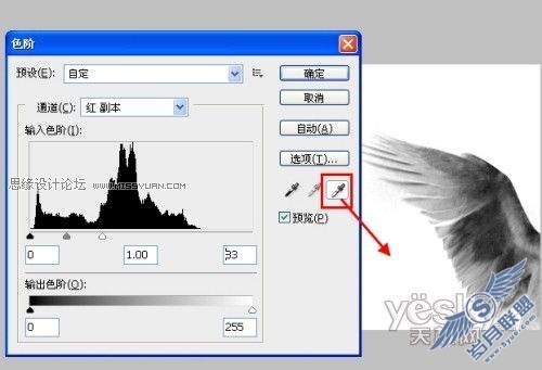 PhotoShop为宝宝添加梦幻天使翅膀