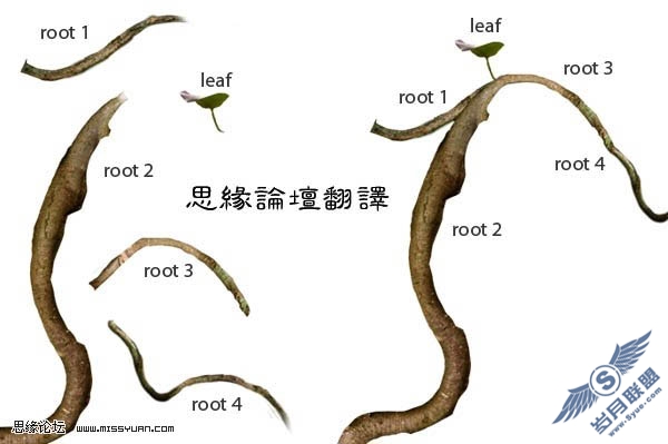 PS合成捆满树枝的美女