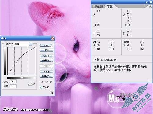 photoshop校色: 调出猫咪中性灰