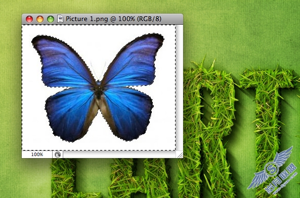 Photoshop模拟制作绿色草坪文字