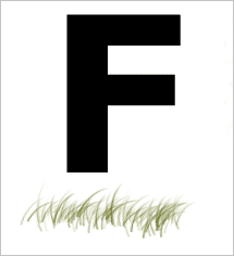 Photoshop笔刷巧做青草字特效