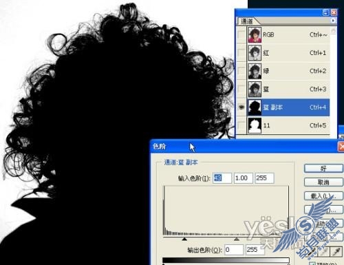 Photoshop抠图教程:抠出MM漂亮的大卷烫发(2)