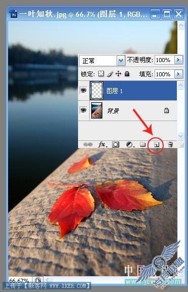 Photoshop入门教程:简单给图片做彩色抽丝效果