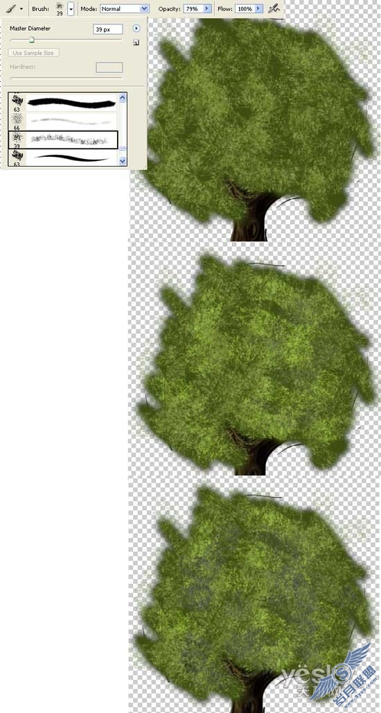用Photoshop绘制枝繁叶茂的大树_天极软件