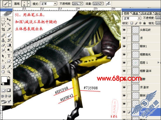 PhotoShop鼠绘超真实的蝗虫