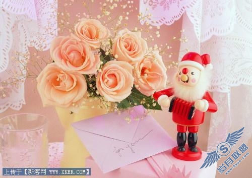 圣诞节美丽饰品之花环花束_天极设计在线收集整理_点击放大此图片