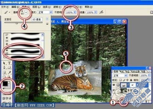 Photoshop图片合成实例:放虎归山_天极设计在线整理转载