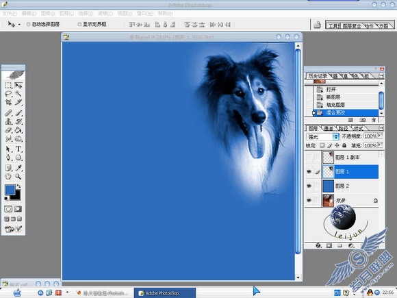 Photoshop给美丽的狗狗抠图