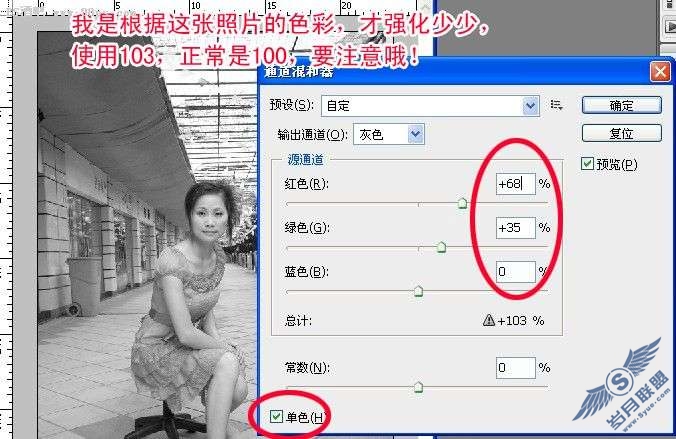 Photoshop艺术黑白照 展现魅力