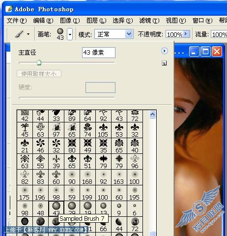 Photoshop笔刷的安装
