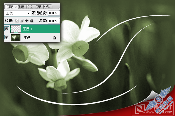 Photoshop处理照片:花卉照片添加光线
