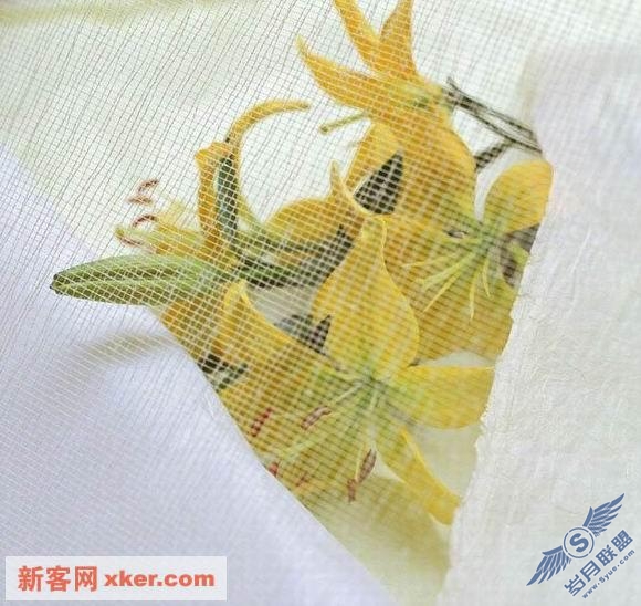 鲜花