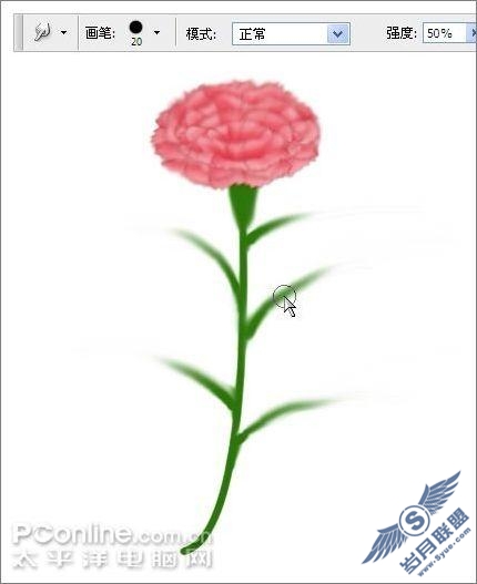 母亲节用AdobePhotoshop鼠绘一支康乃馨(7)