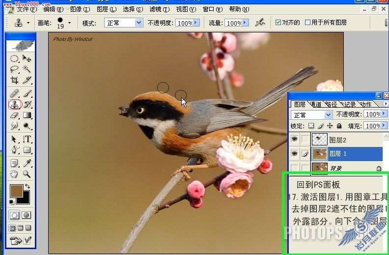 Photoshop制作小鸟鸣叫时的动作