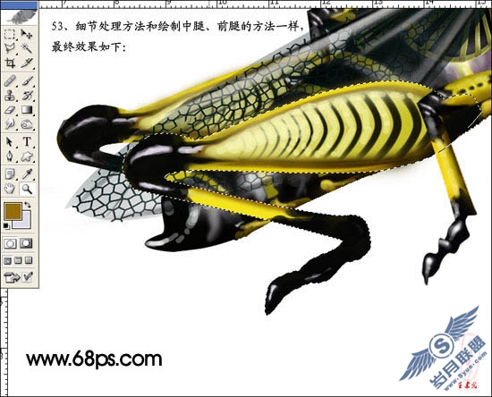 PhotoShop鼠绘超真实的蝗虫