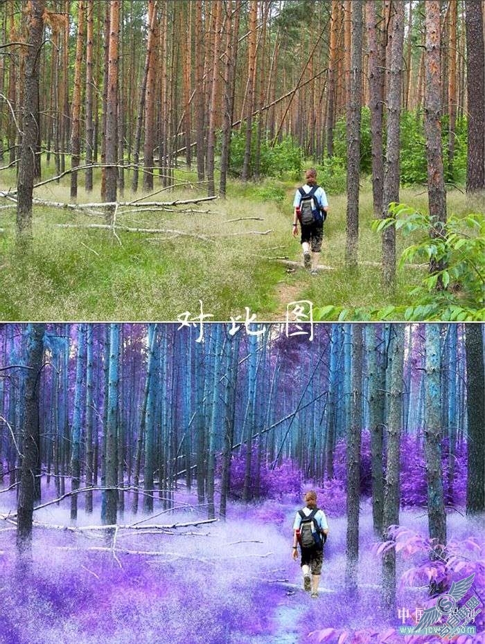 Photoshop制作紫色梦幻色调【图】_