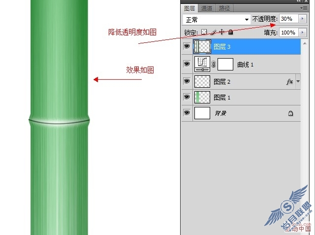 Photoshop超简单打造逼真的竹子