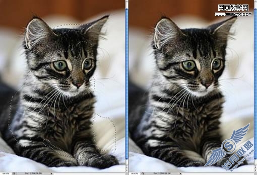 Photoshop教程:模糊照片变清晰只需三步
