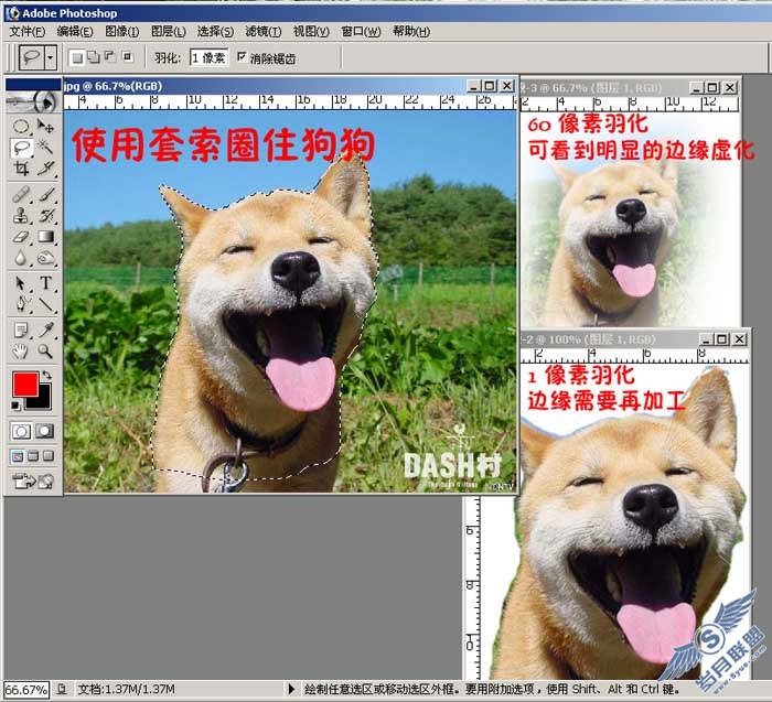 ps抠图工具入门——初学者用