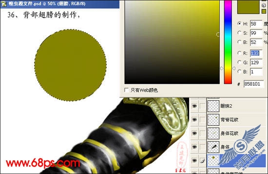 PhotoShop鼠绘超真实的蝗虫