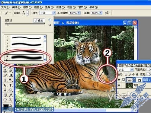 Photoshop图片合成实例:放虎归山_天极设计在线整理转载
