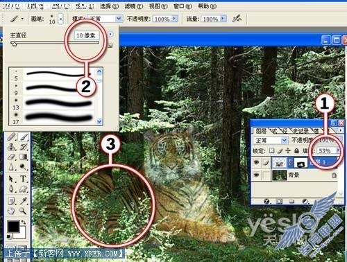 Photoshop图片合成实例:放虎归山_天极设计在线整理转载