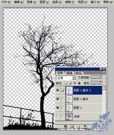 比较少见的两种抠图法