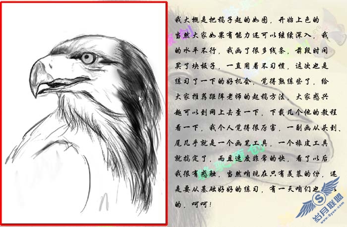 PhotoShop鼠绘一只彩色羽毛的鹰