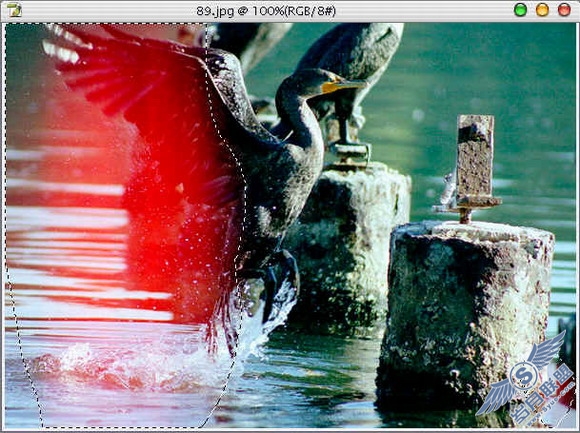 Photoshop实现暴光过度照片的修复