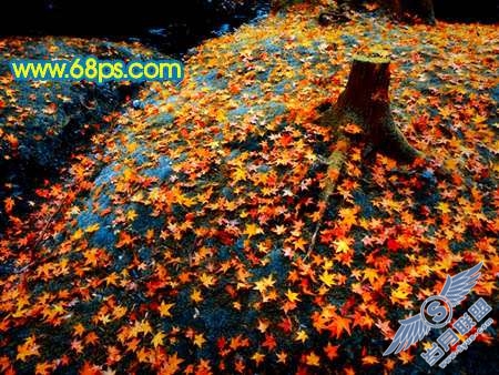 Photoshop制作橙黄色成片枫叶图【图】_