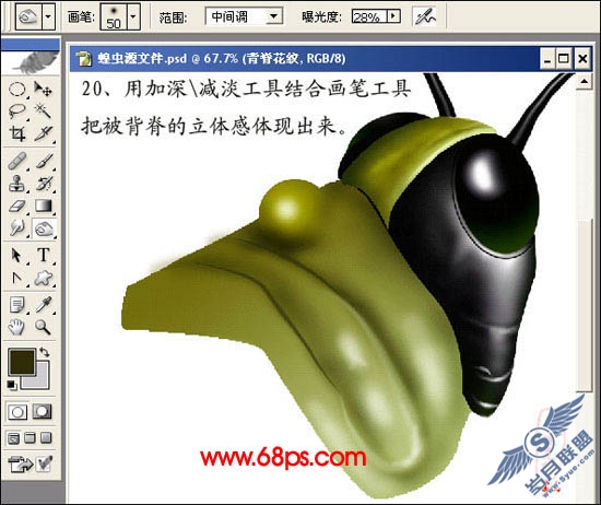 PhotoShop鼠绘超真实的蝗虫