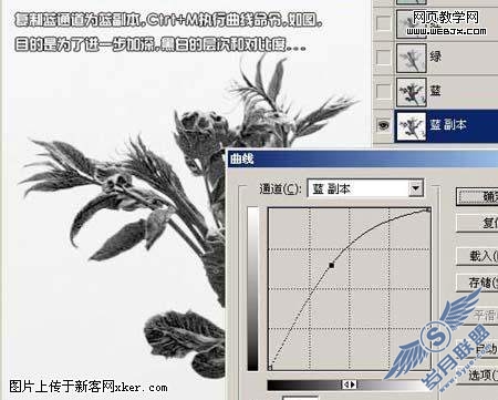 Photoshop通道抠图教程:绿叶树干