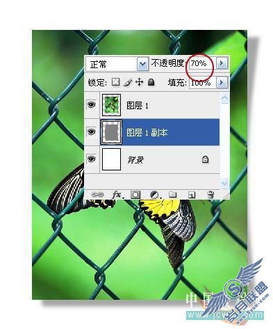 Photoshop初学者实例教程:简单打造照片立体效果
