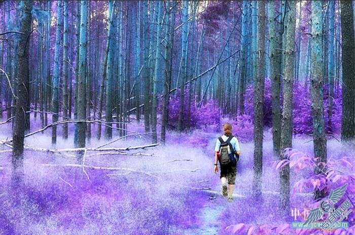 Photoshop制作紫色梦幻色调【图】_