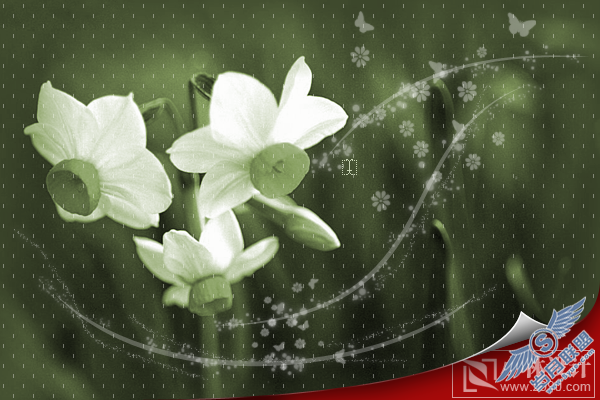 Photoshop处理照片:花卉照片添加光线